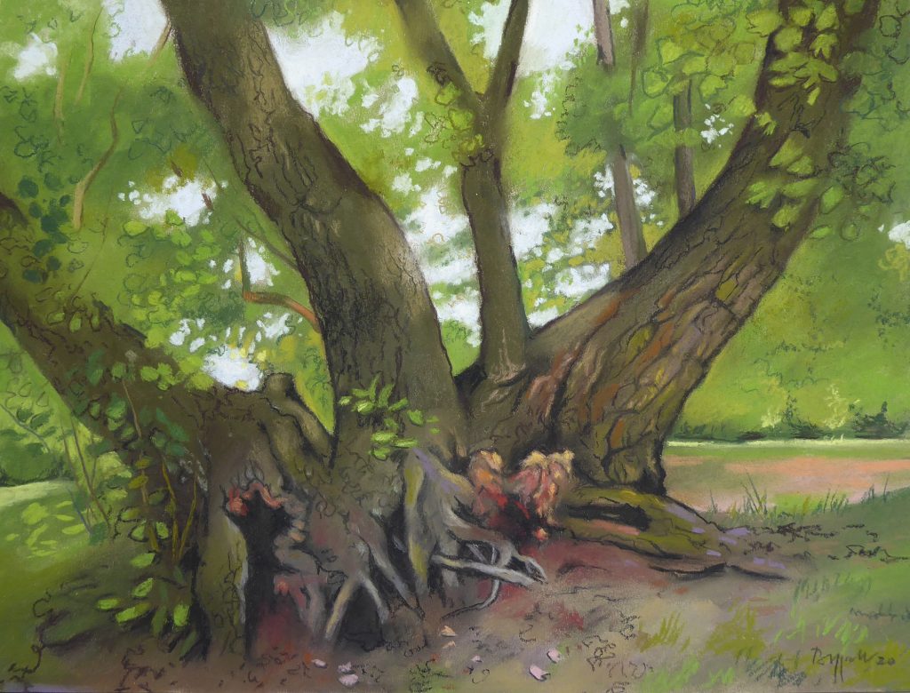 Pastell "Schlosspark Charlottenburg knorrige Wurzeln" Hans-Jürgen Burggaller